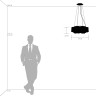Люстра подвесная LIGHTSTAR Nubi 802160