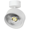 Светильник накладной LIGHTSTAR ALTA PRO A5736SO
