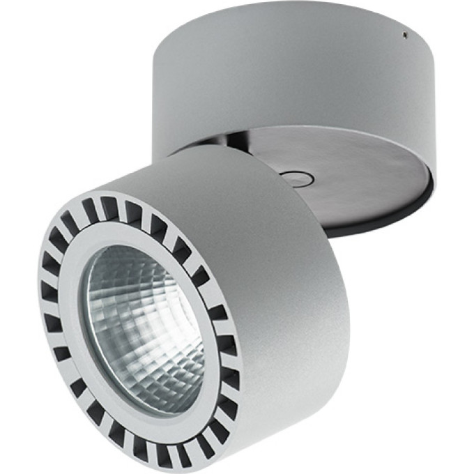 Светильник накладной LIGHTSTAR FORTE 381393